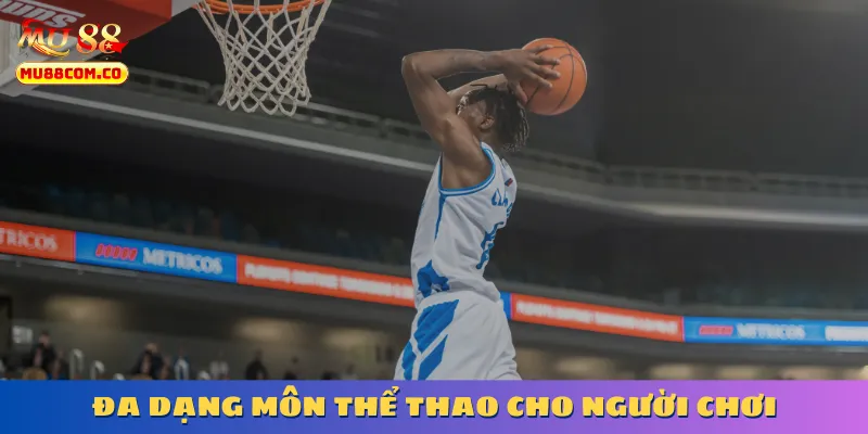 da-dang-the-thao-sieu-hap-dan-sieu-dinh
