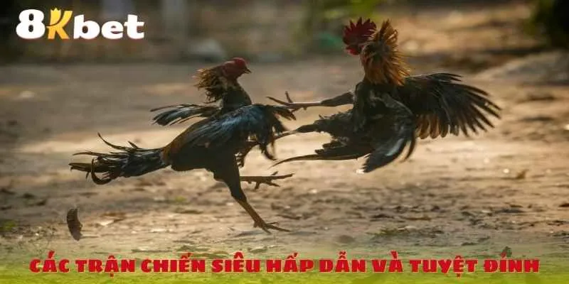 cac-tran-chien-sieu-hap-dan-va-tuyet-dinh