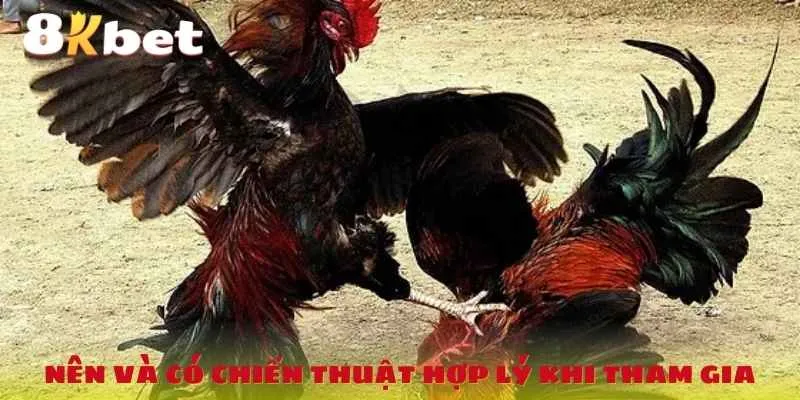 nen-va-co-chien-thuat-hop-ly-khi-tham-gia